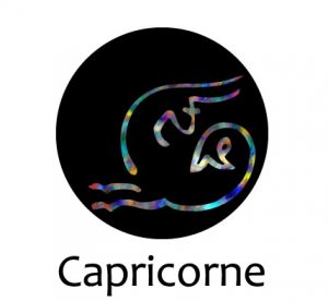 homme capricorne