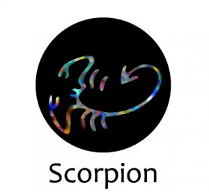 homme scorpion